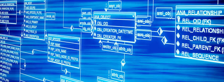 DFC20283 DATABASE FUNDAMENTALS