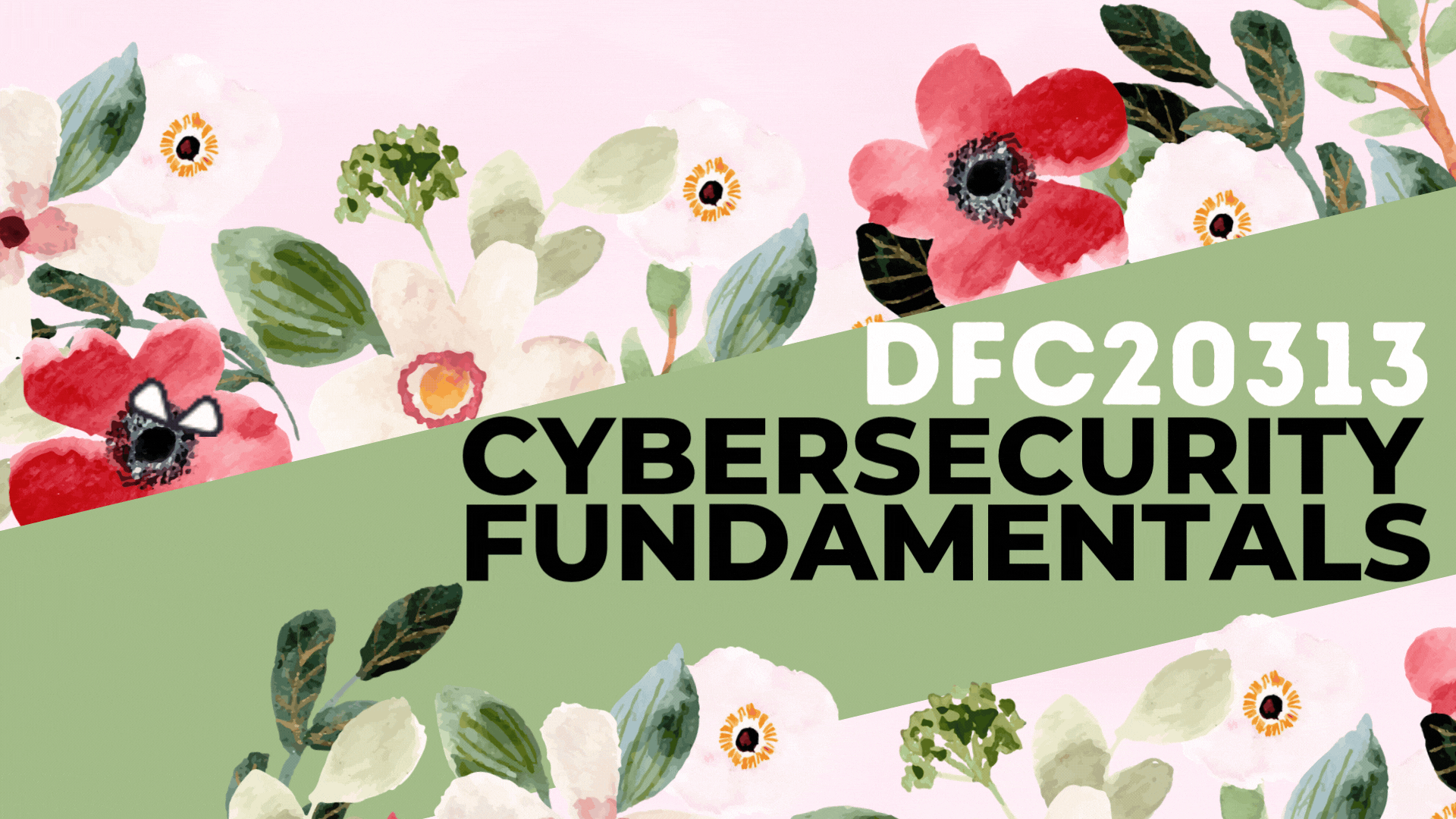 DFC20313 CYBERSECURITY FUNDAMENTALS